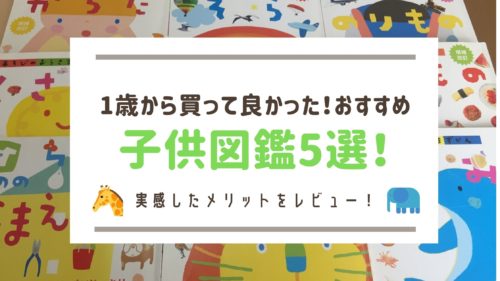 子供図鑑おすすめ5選 1歳から買って良かった実体験レビュー コレ買い日記